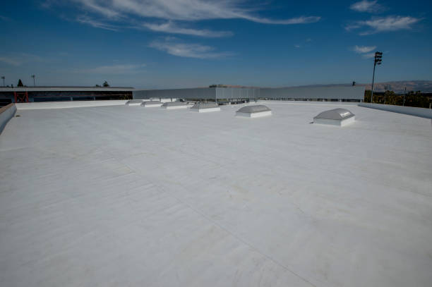 Best Sheet Metal Roofing  in Eldorado, TX